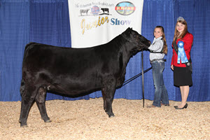 Emily & Dan with Kramers Lady 065 with a big win at the 2021 All American Angus Breeders Futurity in Louisville, KY Emily & Dan with Kramers Lady 065 with a big win at the 2021 All American Angus Breeders Futurity in Louisville, KY